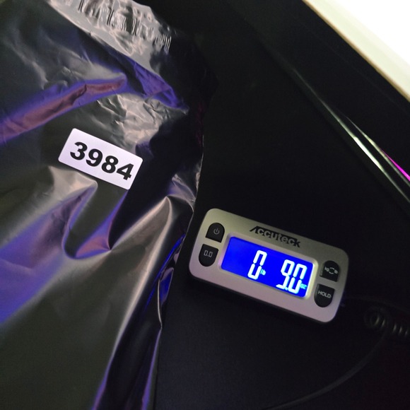 Champion Reverse Weave Shorts Womens Small Cream Fleece Drawstring Casual - Picture 7 of 7